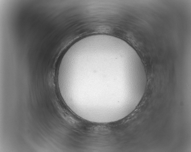 X0000070430146200606161513