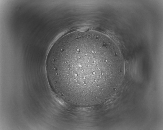 X0000070430147200606161513