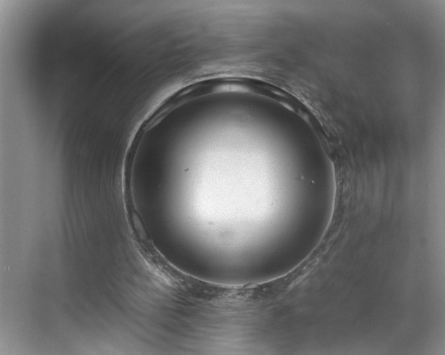 X0000070430148200606161513