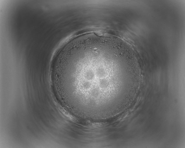 X0000070430149200606161513