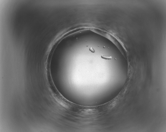 X0000070430151200606161513