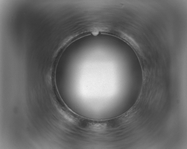 X0000070430155200606161513