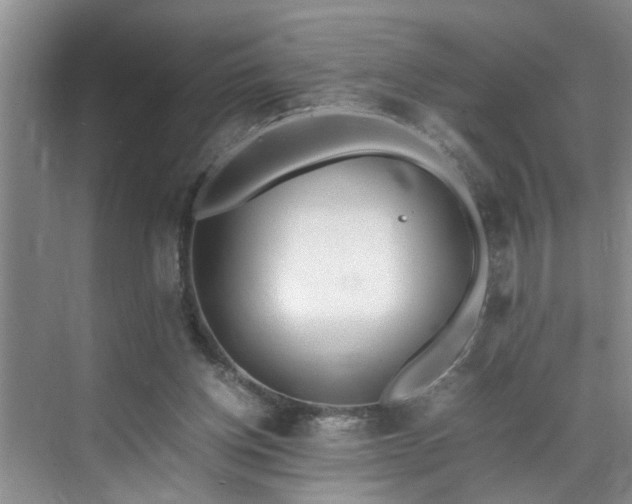 X0000070430158200606161513