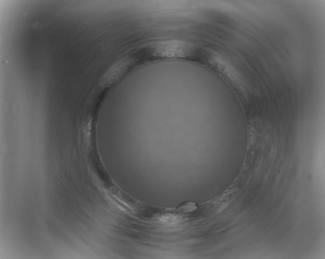 X0000070430163200606161513