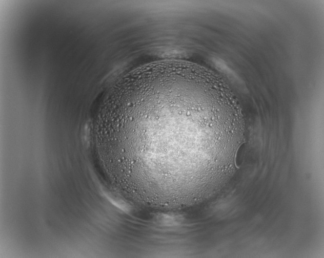 X0000070430165200606161513