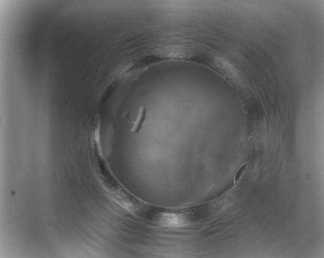 X0000070430167200606161513