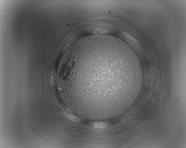 X0000070430169200606161513