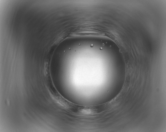 X0000070430171200606161513