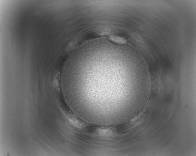 X0000070430175200606161513