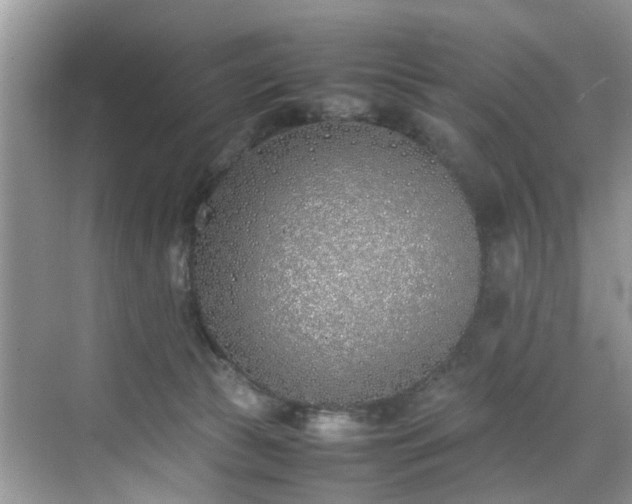 X0000070430177200606161513