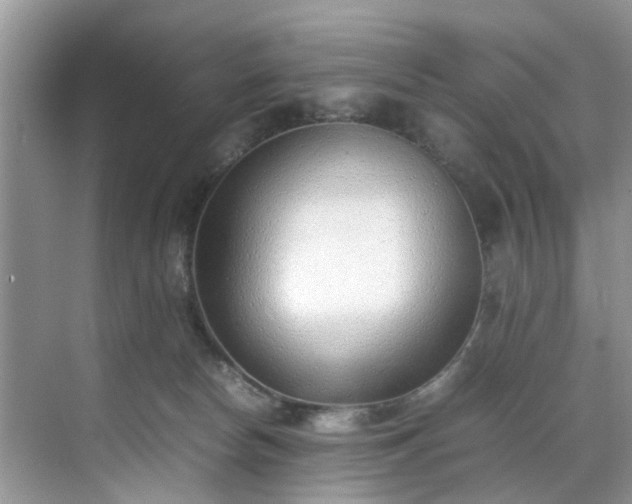 X0000070430178200606161513