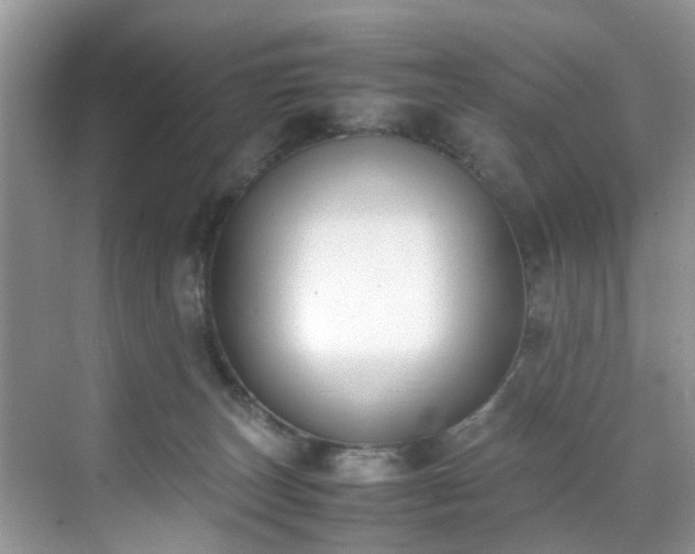 X0000070430179200606161513