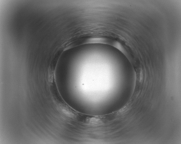 X0000070430180200606161513