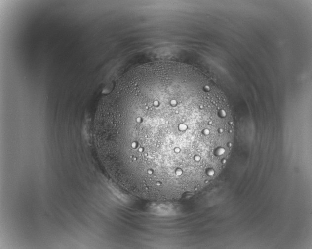 X0000070430181200606161513