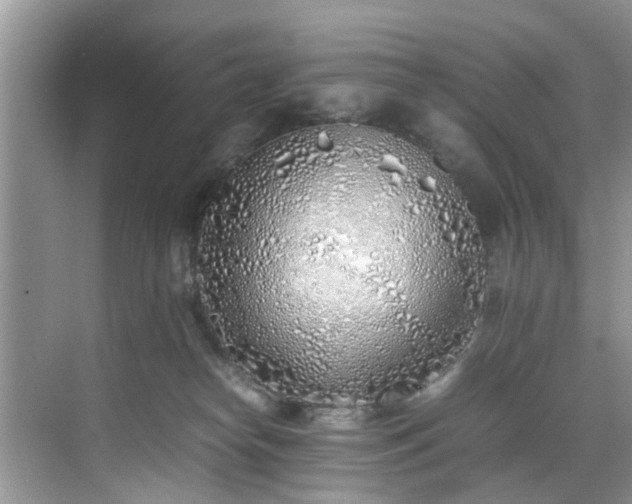 X0000070430182200606161513