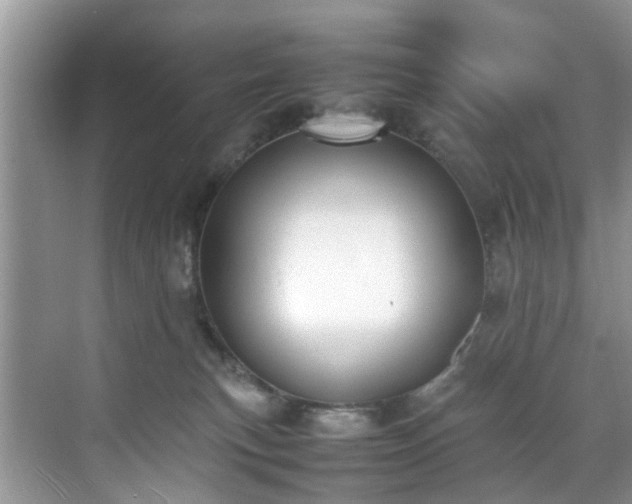 X0000070430183200606161513