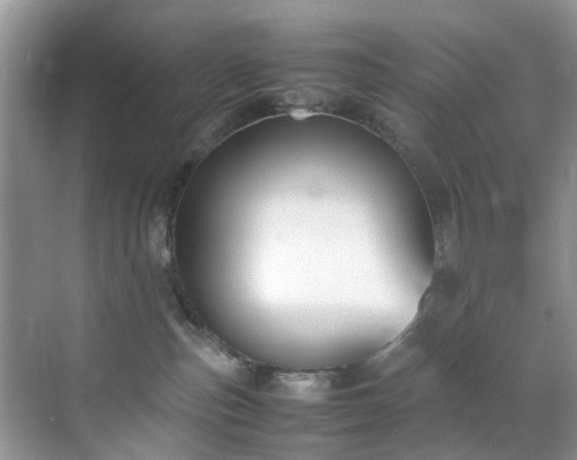 X0000070430187200606161513