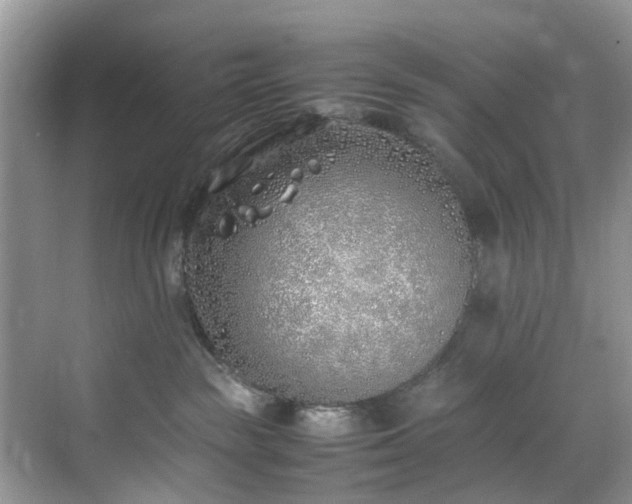 X0000070430189200606161513