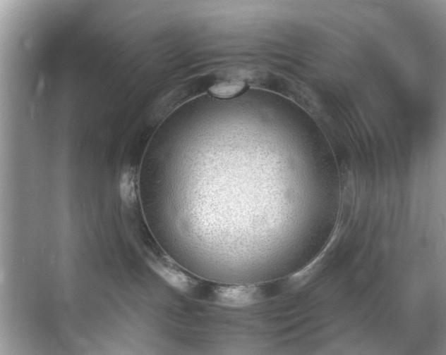 X0000070430191200606161513