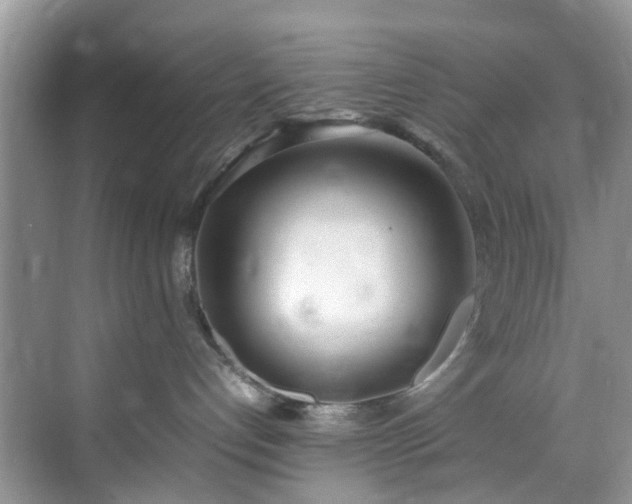 X0000070430192200606161514