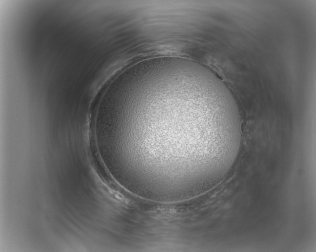 X0000070430194200606161513