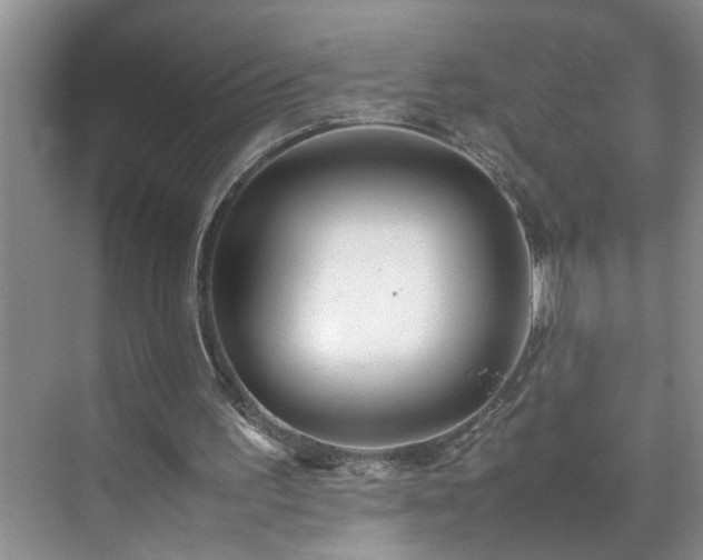 X0000070430195200606161513