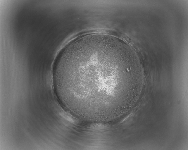 X0000070430198200606161513