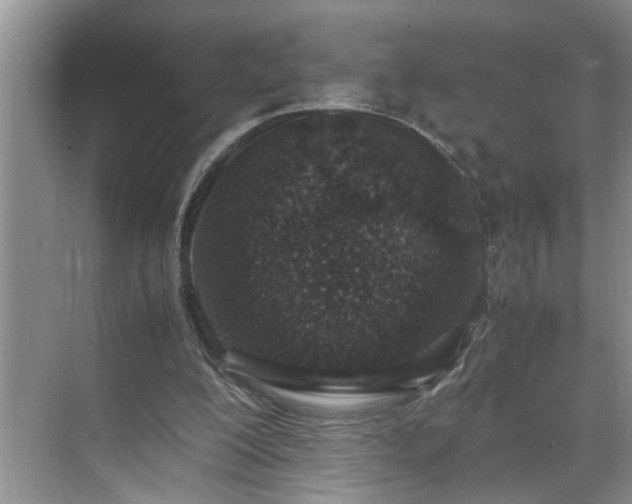 X0000070430200200606161513