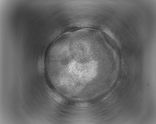 X0000070430202200606161513