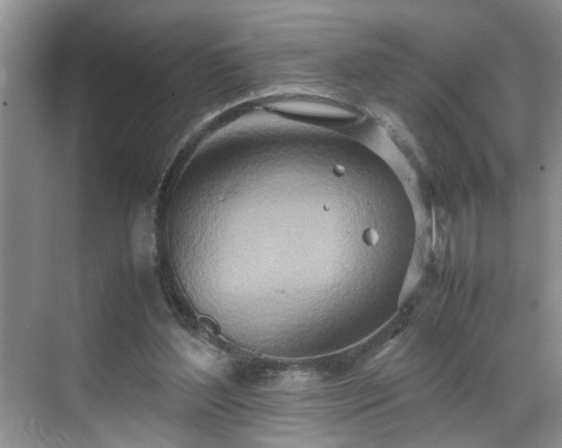 X0000070430204200606161513