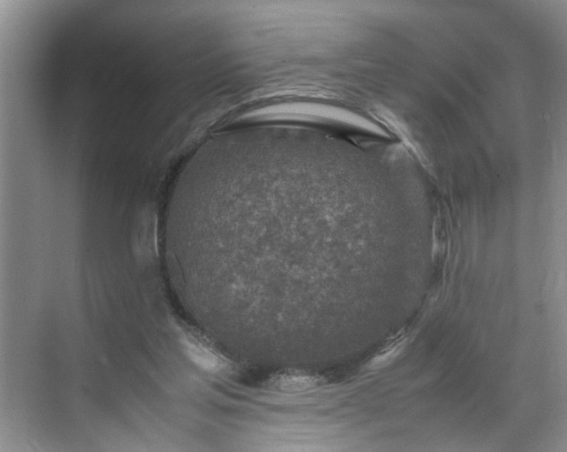 X0000070430205200606161513