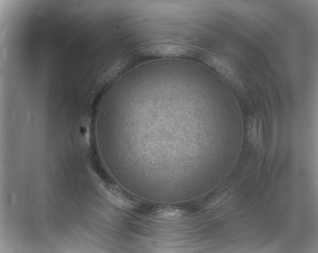 X0000070430206200606161512