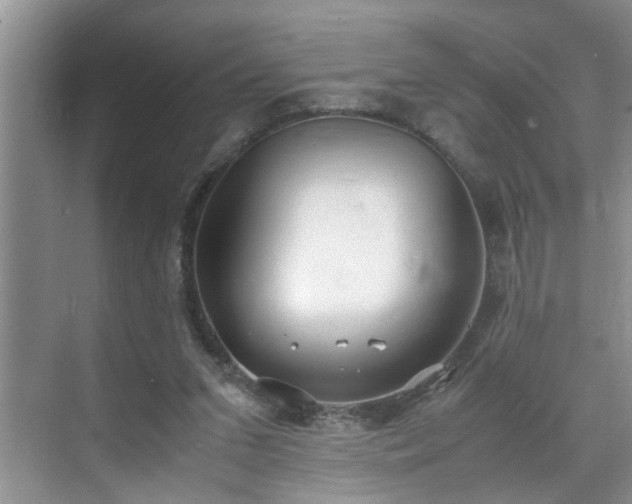 X0000070430207200606161512