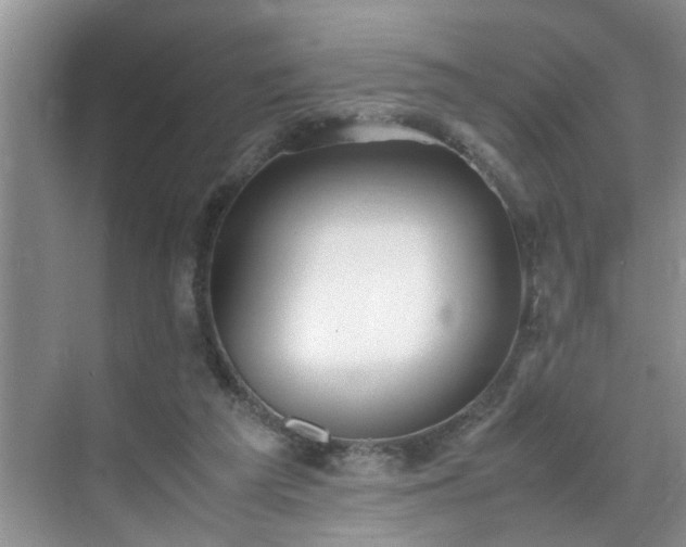 X0000070430209200606161512