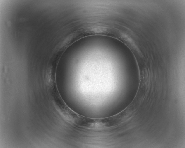 X0000070430212200606161512