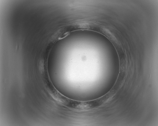 X0000070430213200606161512