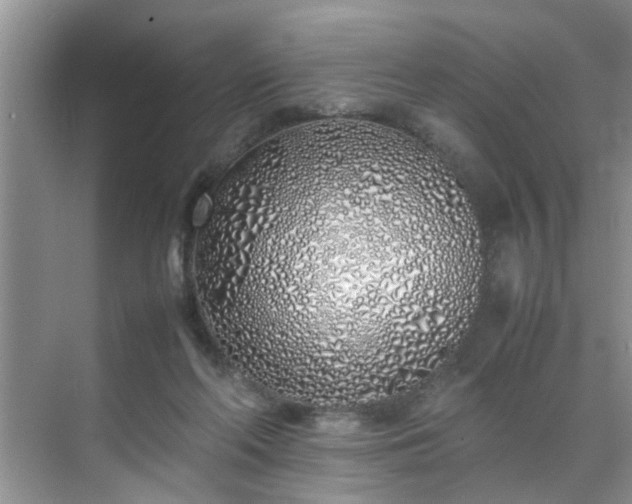 X0000070430214200606161512