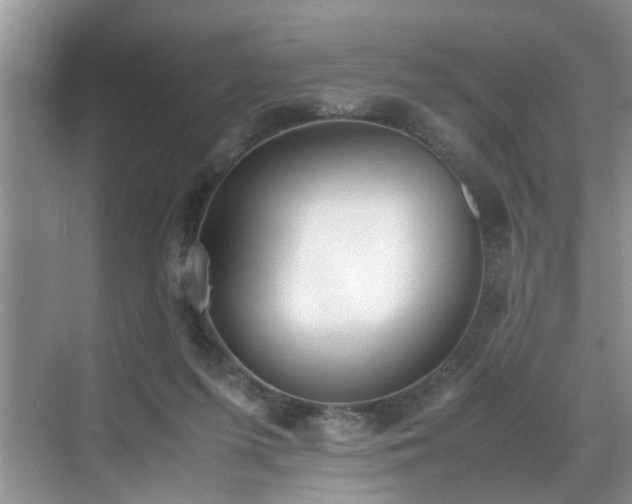 X0000070430215200606161512