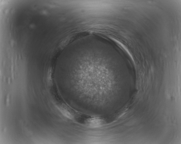 X0000070430219200606161512