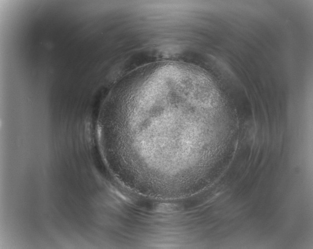 X0000070430222200606161512