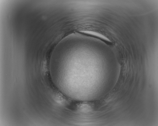 X0000070430224200606161512