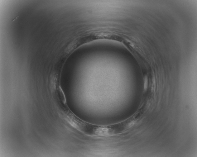 X0000070430227200606161512