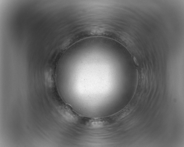 X0000070430228200606161512