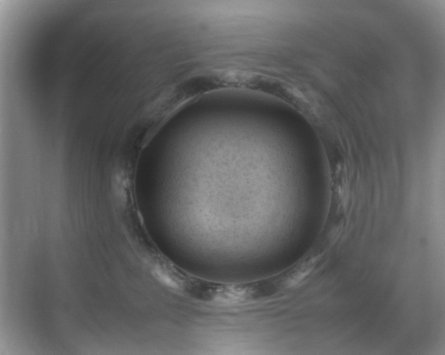 X0000070430235200606161512