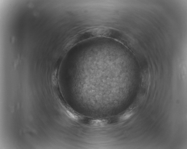 X0000070430239200606161512