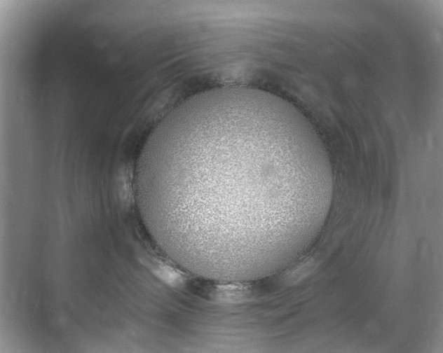 X0000070430240200606161512