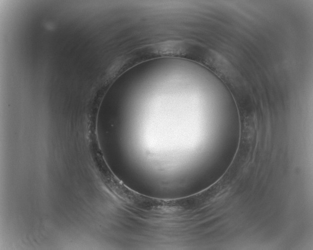 X0000070430255200606161511