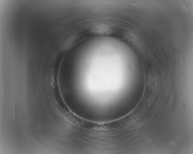 X0000070430259200606161511