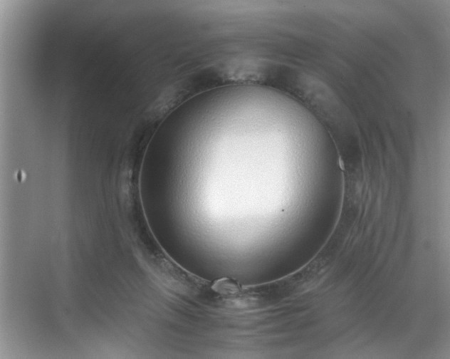 X0000070430263200606161511