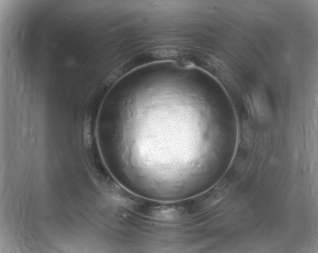 X0000070430267200606161512